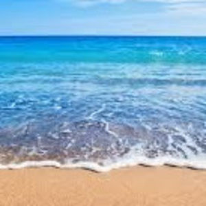 Meet your Posher, Riley